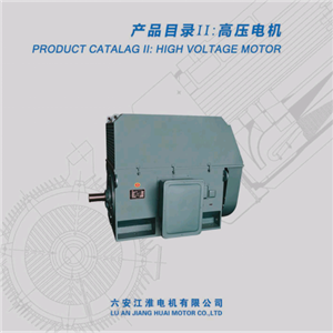 變頻高壓電機(jī) 六安江淮電機(jī) 配礦山設(shè)備 水泵